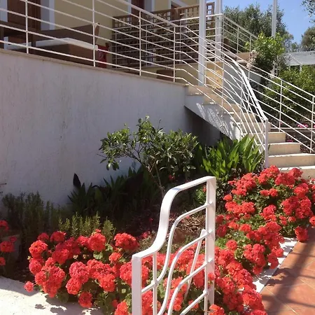 Tesoro Of Ithaca * Sztavrósz