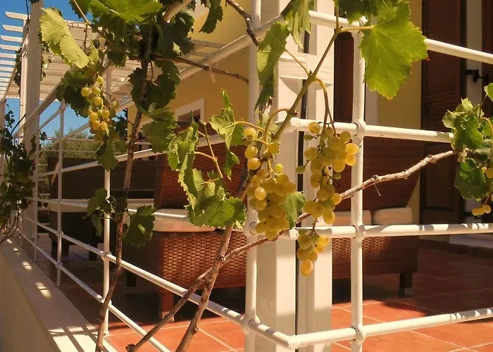 Apartmán Tesoro Of Ithaca *